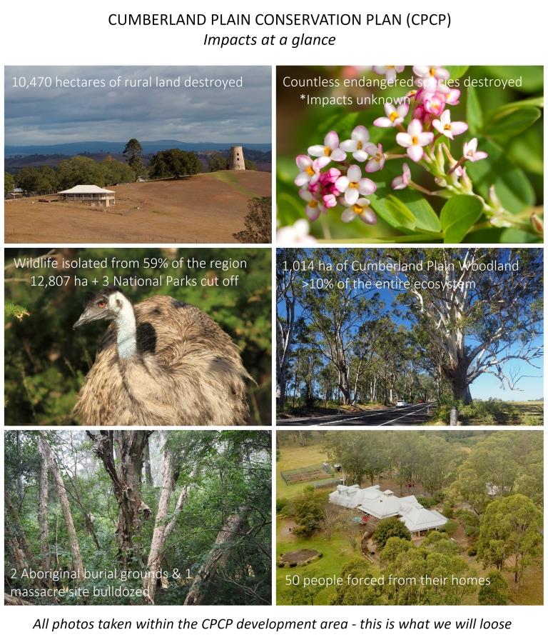 Cumberland Plain Conservation Plan – what we need to ask for & how!