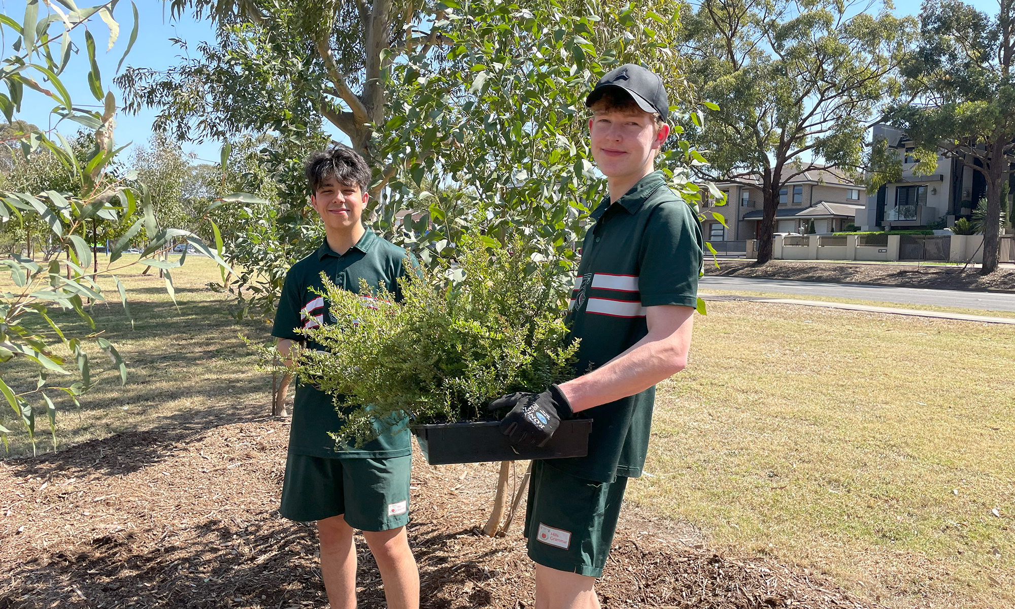 Students Plant 3,000 Trees at Fairfield Hospital