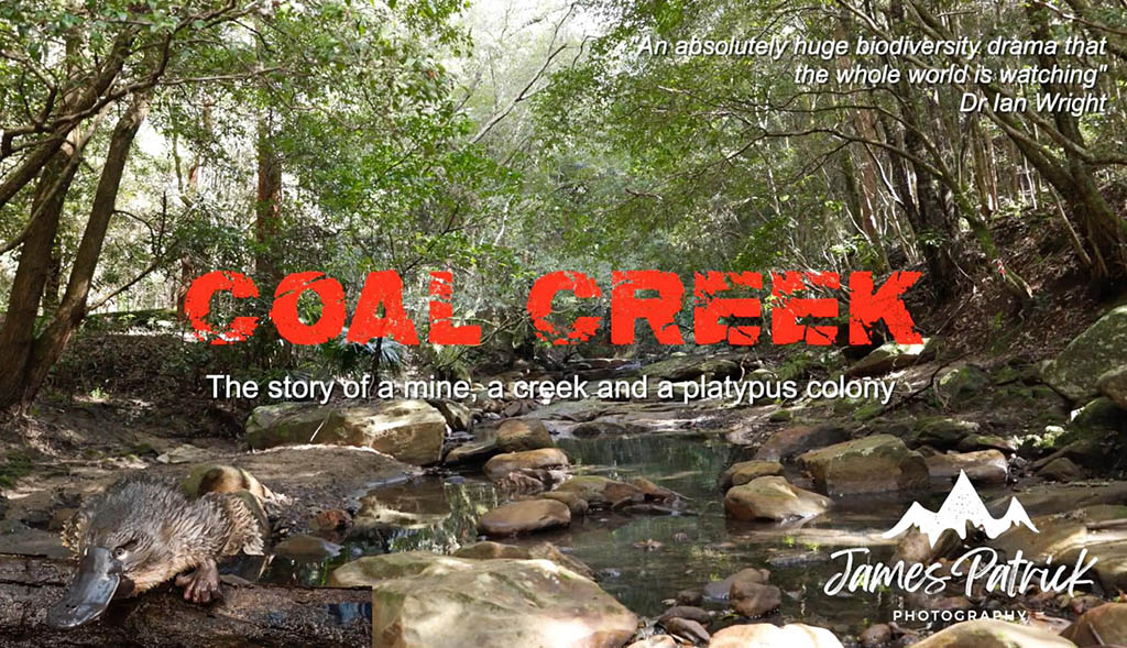 Coal Creek: Water Quality Matters