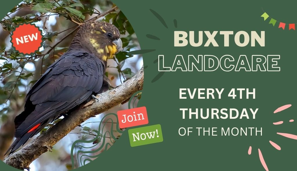 Get Involved with Buxton Landcare