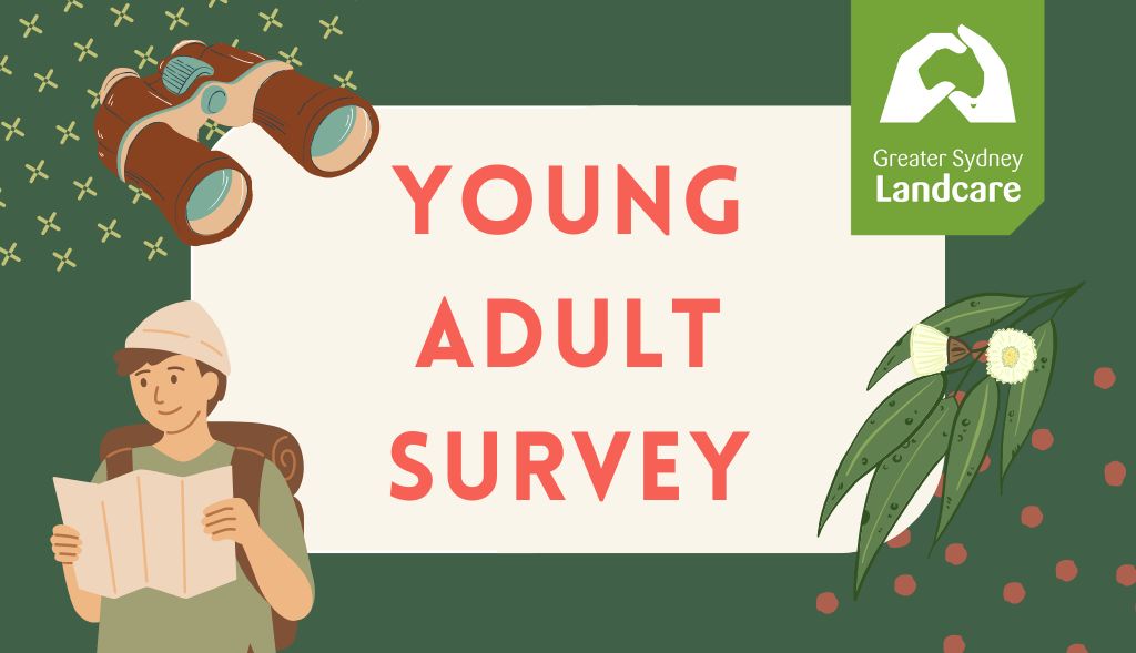 Survey for Young Adults