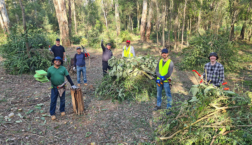 Microsoft Partners with Greater Sydney Landcare