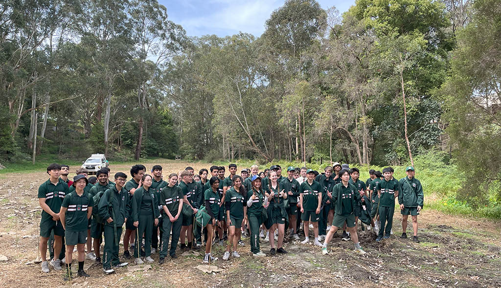 Hills Grammar Caring For Nature