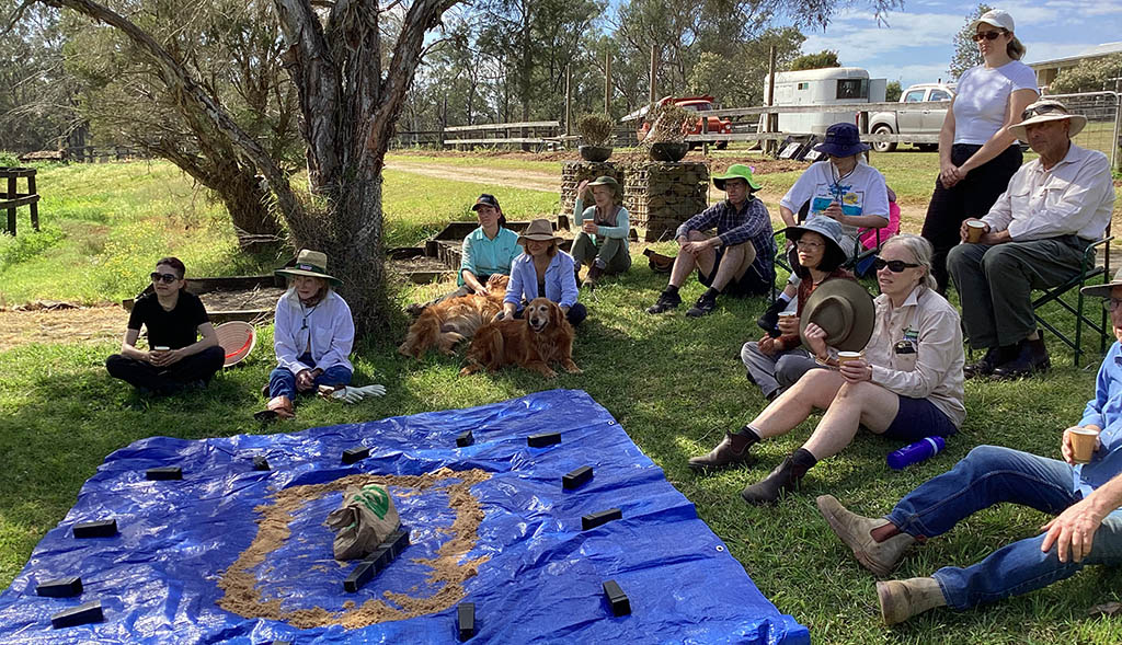 Planting Trees & Helping Bees 