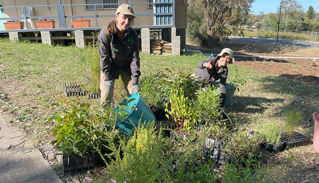 200K Trees Planted Celebration