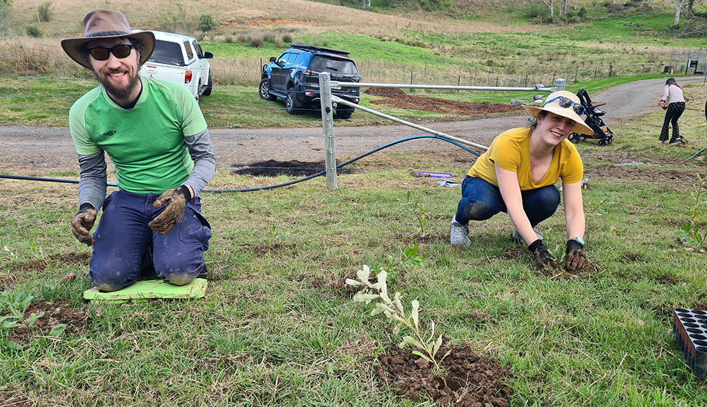 Planting for Injured Native Wildlife