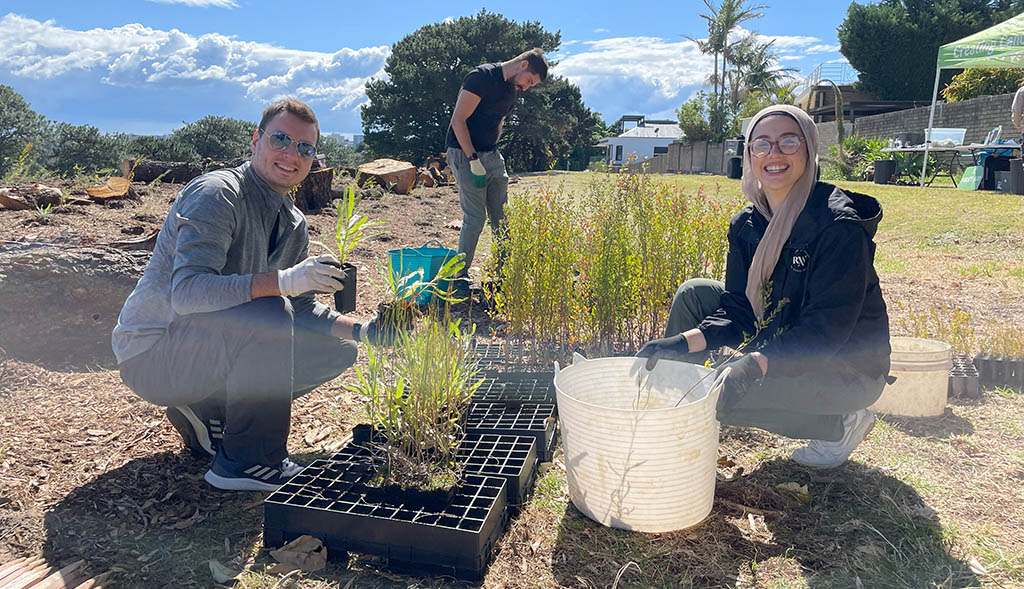 Community Add 1700 Trees to Pagewood