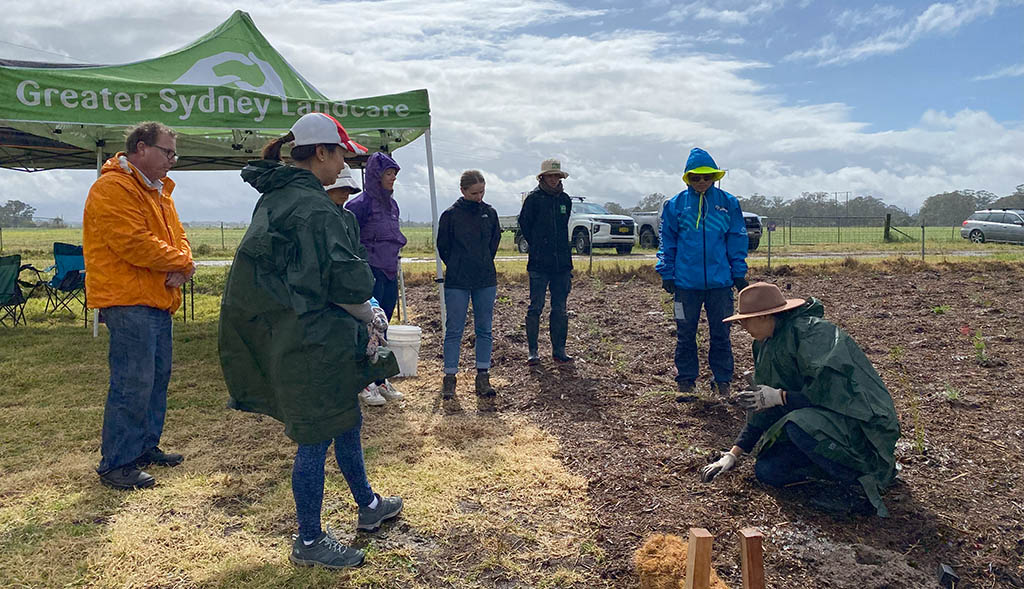 2024 Plantings at WSU Hawkesbury