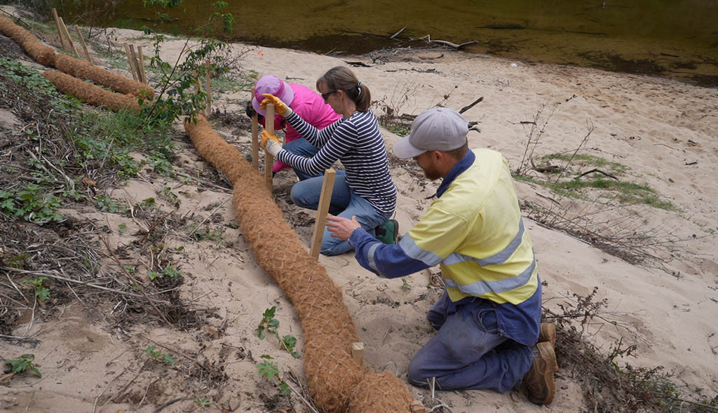 Protected: Repair a Koala Corridor Workshop